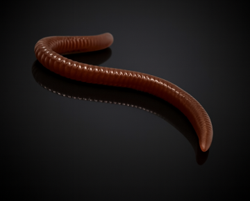 Bez nazwy 1536 x 1236 px